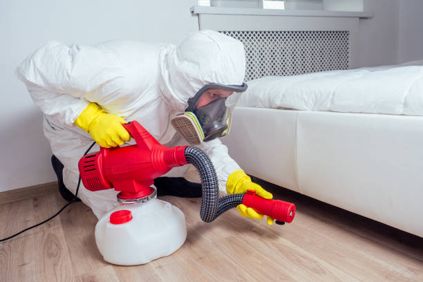 Flea Control Services in Avondale, AZ