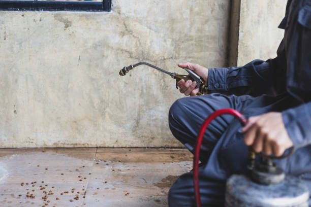 Best Pest Control for Homes  in Avondale, AZ
